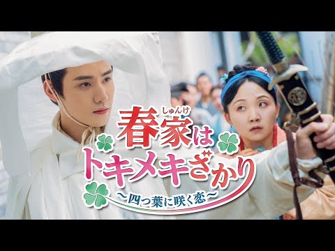 「春家はトキメキざかり～四つ葉に咲く恋～」予告映像　最高に愉快でハッピー！ 極上のトキメキと笑い、そして感動が満載の抱腹絶倒時代劇ラブコメディ！