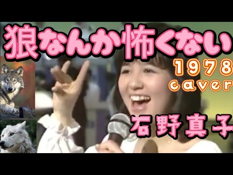 狼なんか怖くない♪石野真子➌1978(caver)　