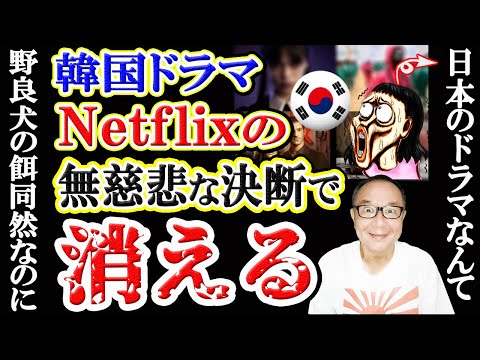 (無慈悲)Netflixルール変更で韓流ドラマがランキング圏外！韓国政府は日本文化への方針を転換
